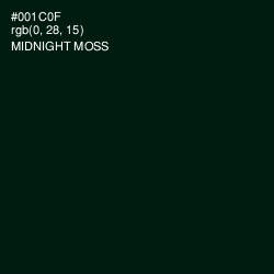 #001C0F - Midnight Moss Color Image